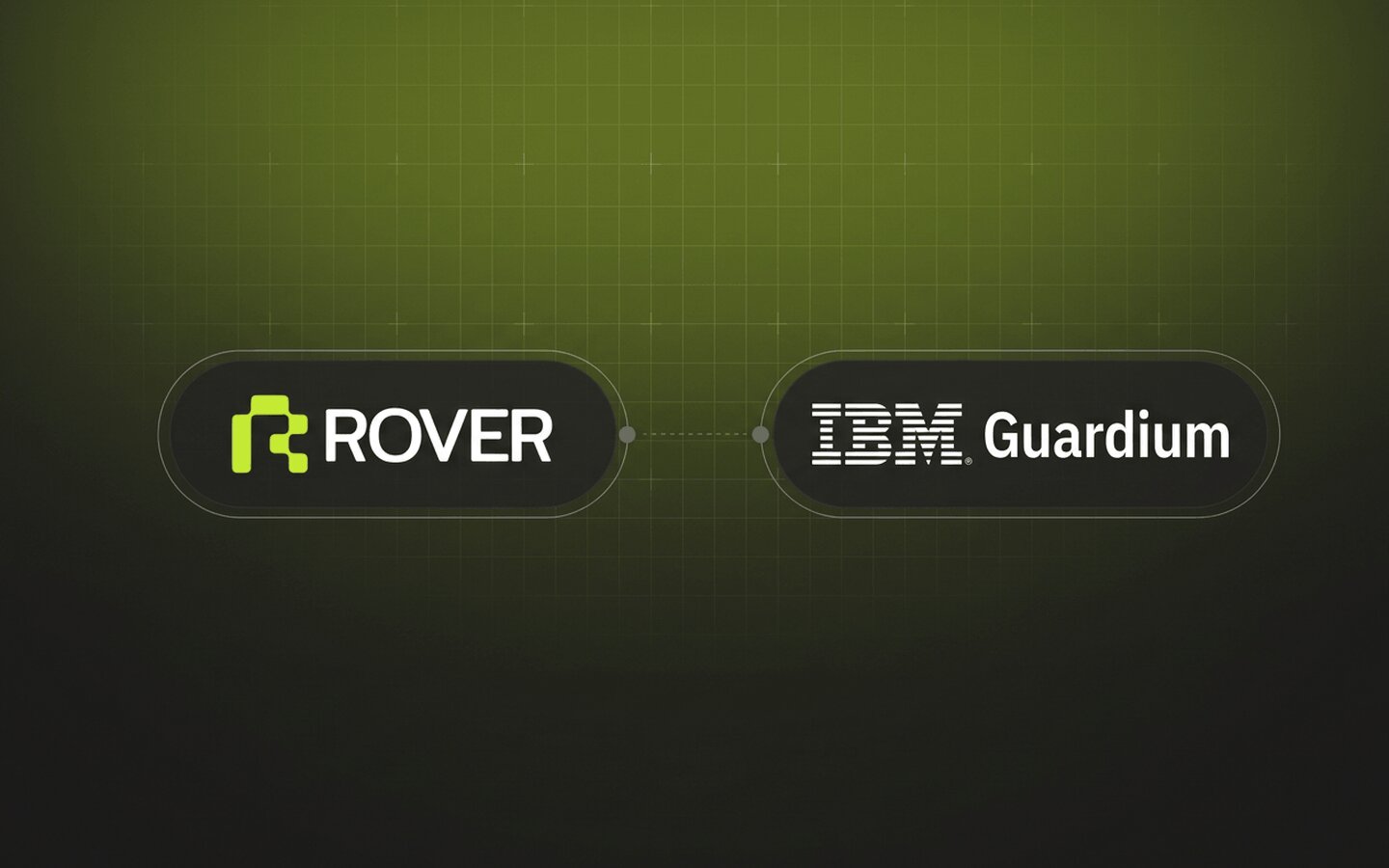 Rover and IBM Guardium comparison.
